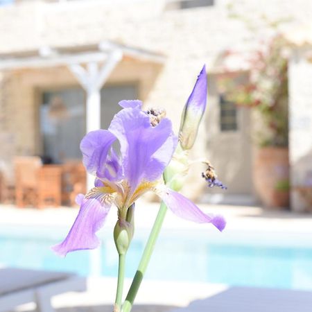 Laini Luxury Suites Pombia Εξωτερικό φωτογραφία