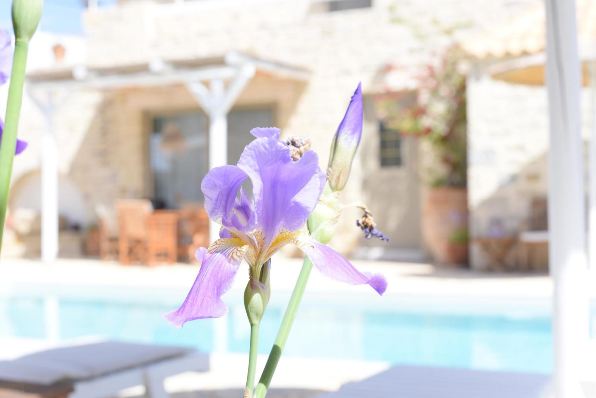 Laini Luxury Suites Pombia Εξωτερικό φωτογραφία