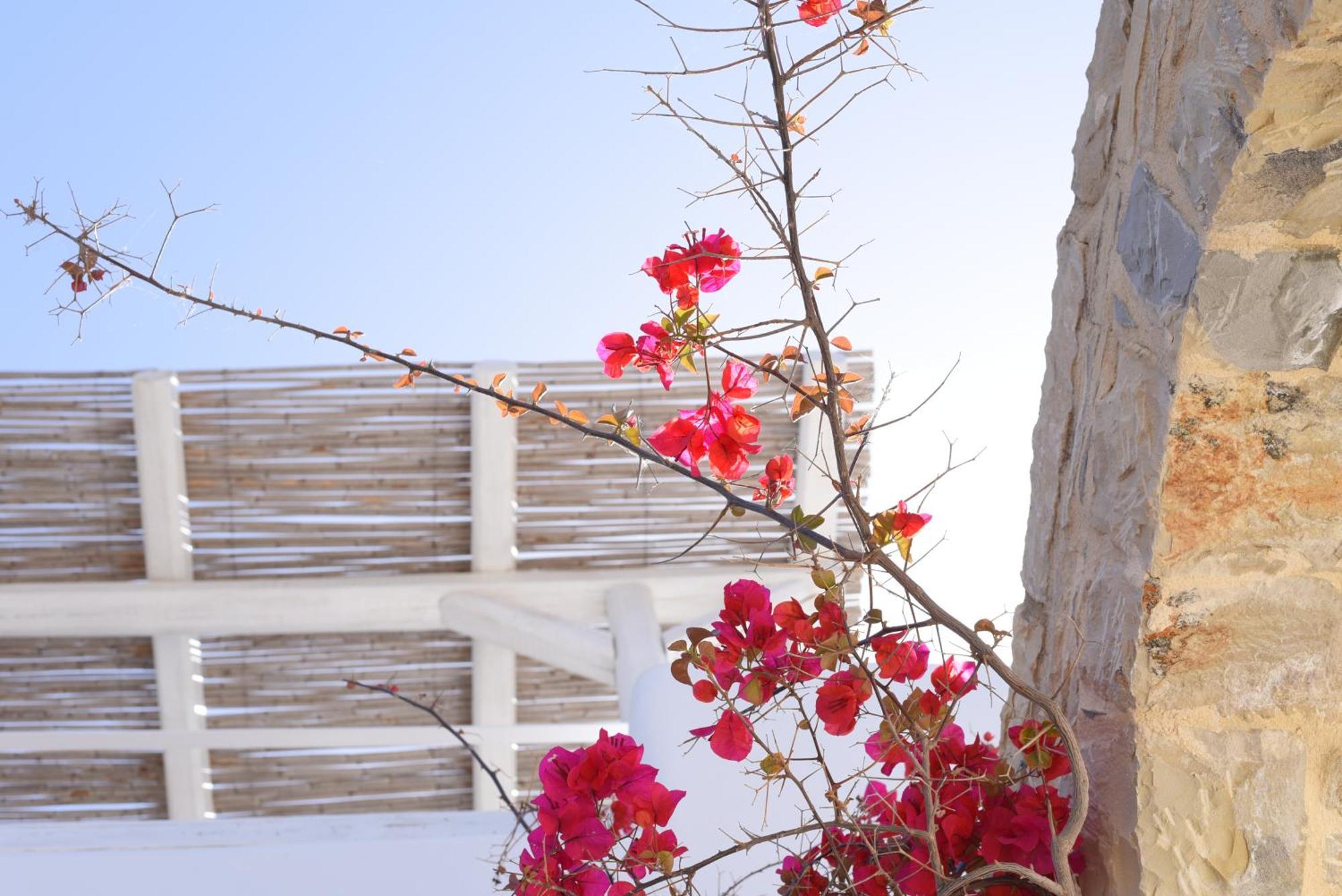 Laini Luxury Suites Pombia Εξωτερικό φωτογραφία
